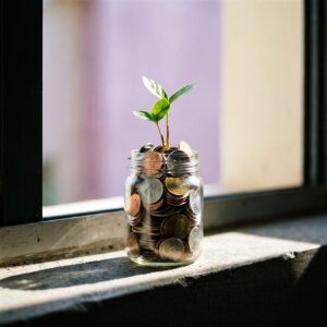 A seedling growing from a jar of coins on a windowsill